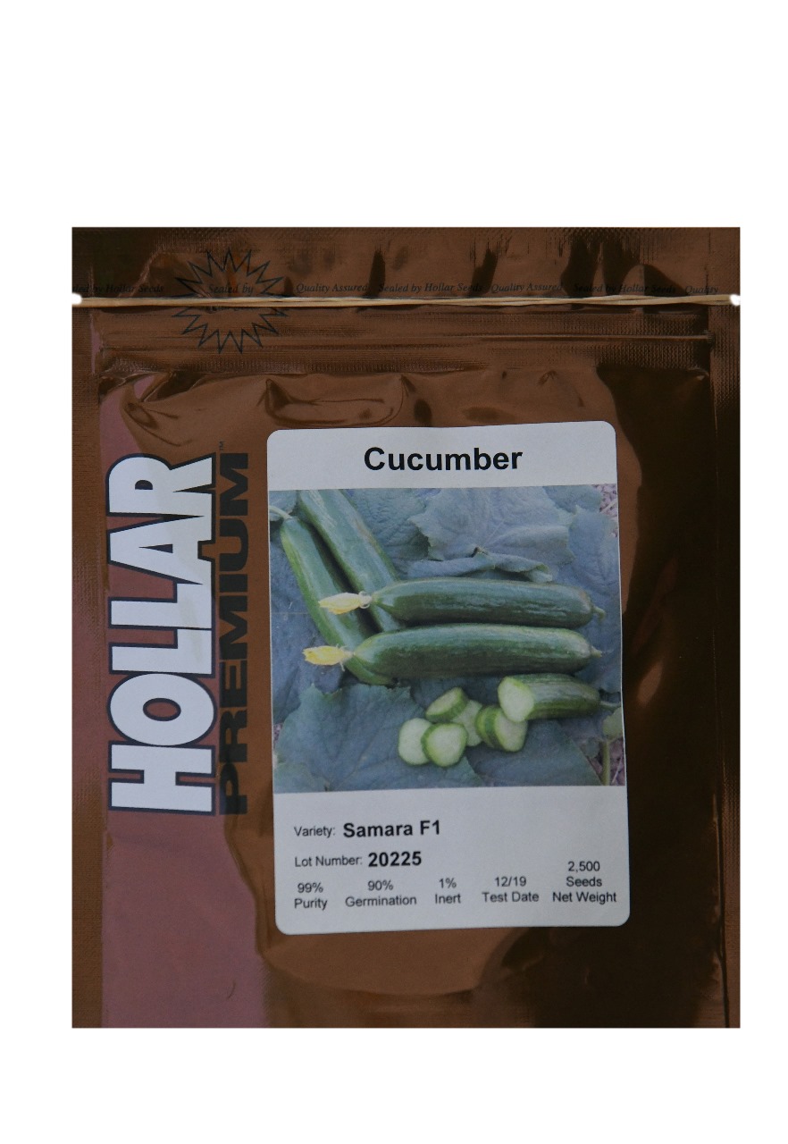 CUCUMBER